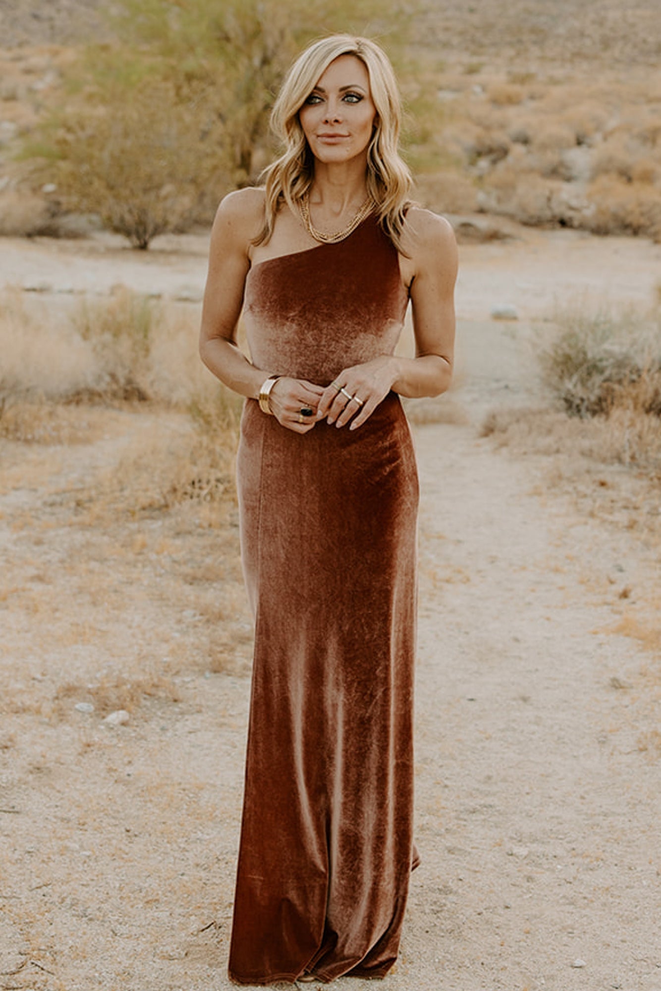 Tatiana Velvet One Shoulder Maxi Dress | Bronze Buy Cheap Best Wholesale