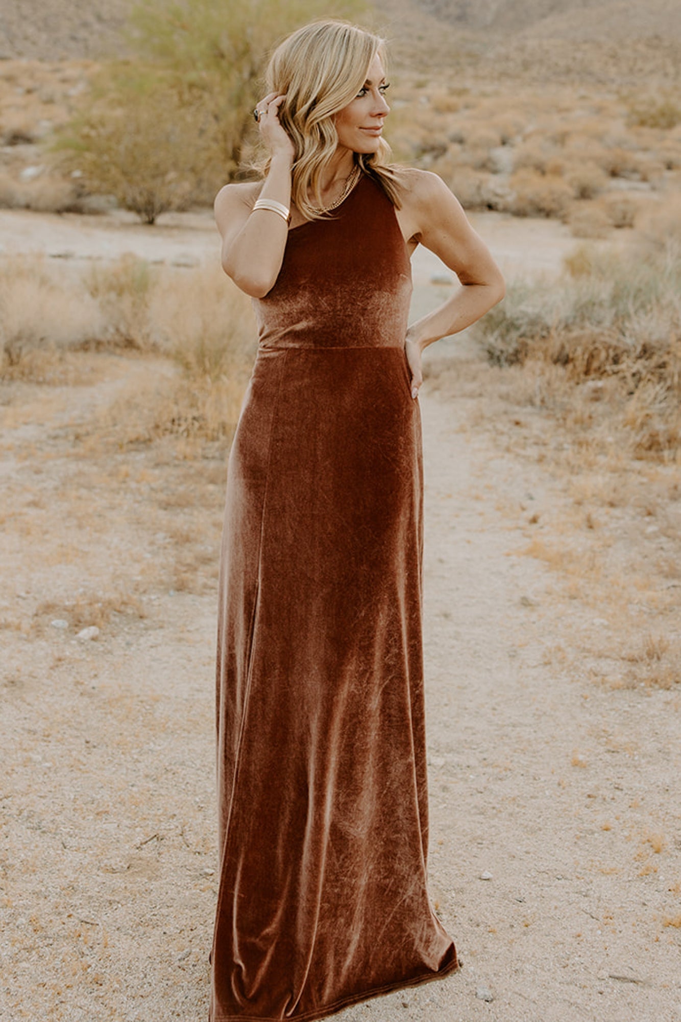 Tatiana Velvet One Shoulder Maxi Dress | Bronze Buy Cheap Best Wholesale