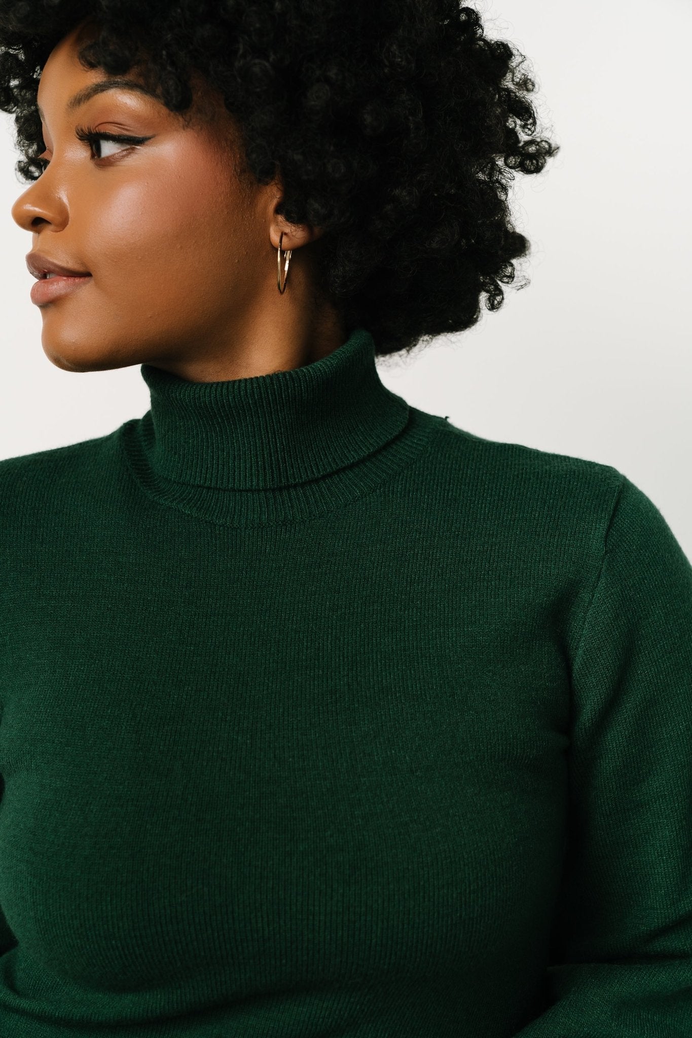 Nielsen Turtleneck Sweater | Emerald Visa Payment For Sale